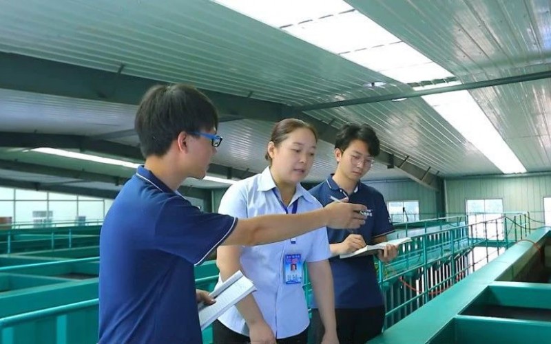 環(huán)境、給排水設(shè)計工程師